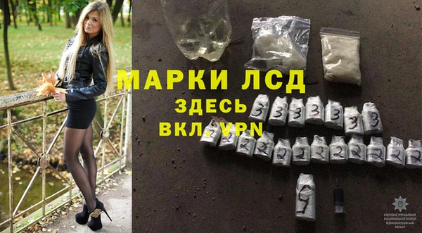 сатива Алзамай